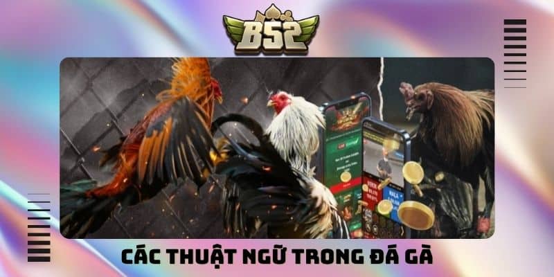 Mẹo Cá Cược B52Club - Bí Thuật Chiến Thắng Mọi Bàn Game - kotx