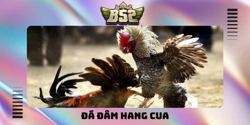 Đá đâm hang cua - Tuyệt kỹ hạ gục đối thủ nhanh nhất - kotx