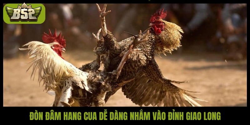 Đá đâm hang cua - Tuyệt kỹ hạ gục đối thủ nhanh nhất - kotx