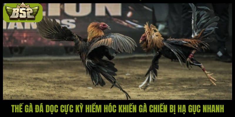 Đá gà đòn độc - Nghệ thuật chiến đấu đỉnh cao của chiến kê - kotx