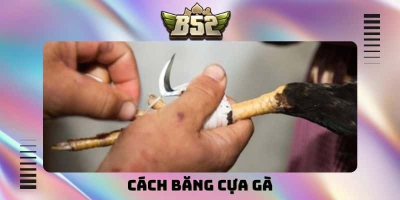Mẹo Cá Cược B52Club - Bí Thuật Chiến Thắng Mọi Bàn Game - kotx
