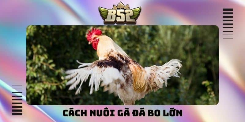 Mẹo Cá Cược B52Club - Bí Thuật Chiến Thắng Mọi Bàn Game - kotx