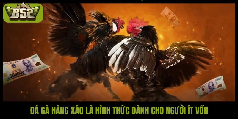 Đá gà hàng xáo là gì? Bí quyết bắt kèo thắng lớn tại B52Club - kotx