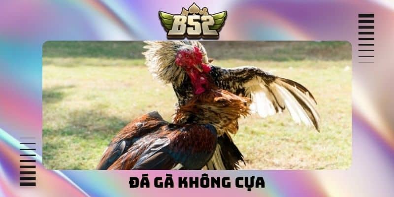 Mẹo Cá Cược B52Club - Bí Thuật Chiến Thắng Mọi Bàn Game - kotx
