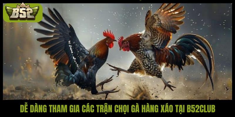 Đá gà hàng xáo là gì? Bí quyết bắt kèo thắng lớn tại B52Club - kotx
