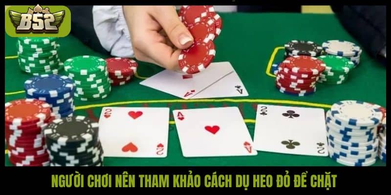 Bật mí cách dụ heo đỏ để chặt trong Tiến Lên tại B52Club - kotx