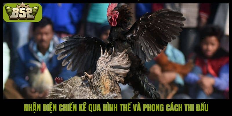 Đòn đá liên hoàn cước - Kỹ thuật bất bại của các chiến kê - kotx
